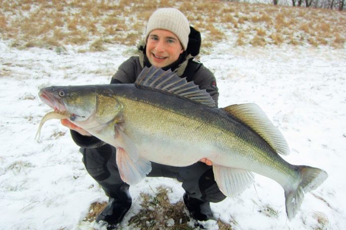 Vissen op snoekbaars vanaf de kant