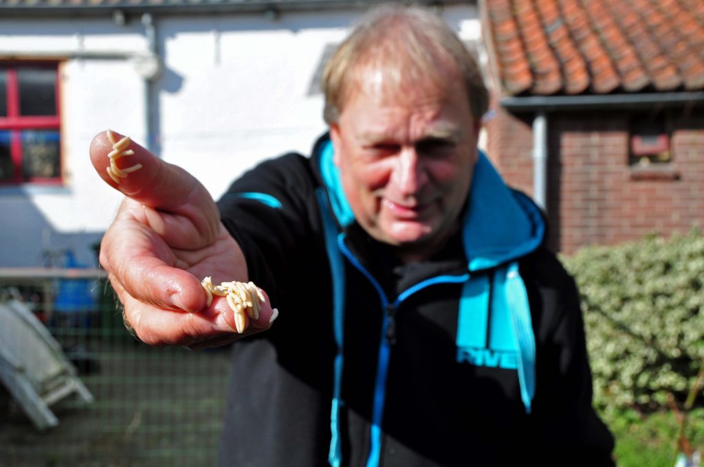 Jan van Schendel maden en pinkies voer in topconditie
