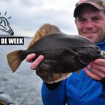 Tiptop toptip – op bot met Sjoerd Beljaars