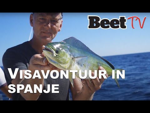 No Siësta de film- Allround vissend in Spanje