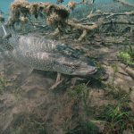 De Gesloten Tijd | Hoe zit dat nu? de gesloten tijd