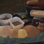 50 Witvis Tips – Aas en Voer witvis tips aas en voer