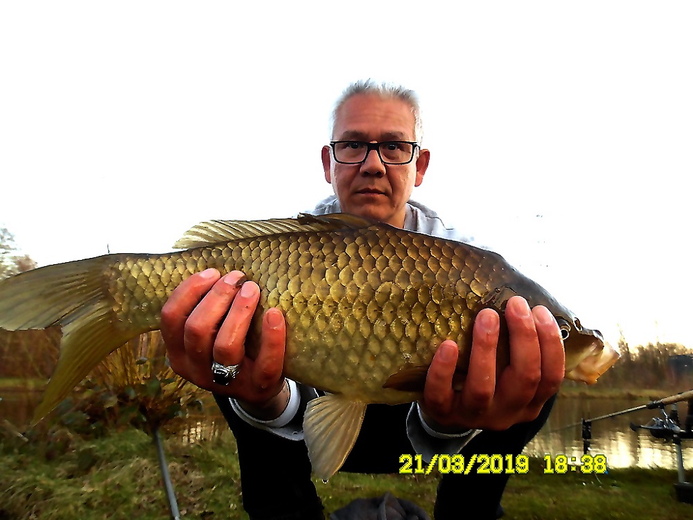 kruiskarper record