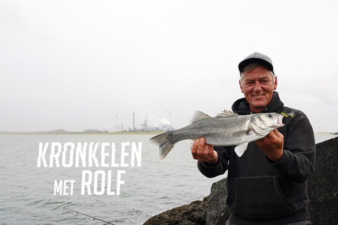 Kronkelen met Rolf Zeebaars