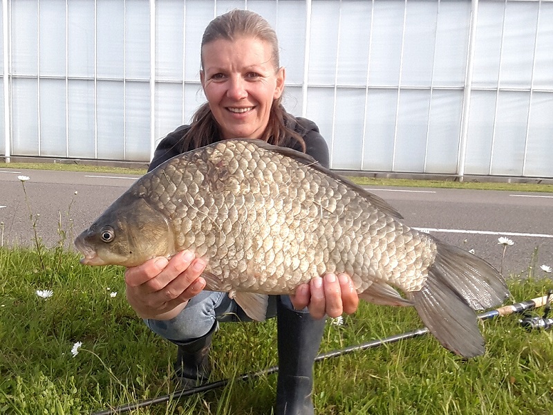 Nederlands record giebel