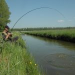 Zomerse Karpertips – 2