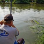 Vissen op Toms Creek Vissen op Toms Creek