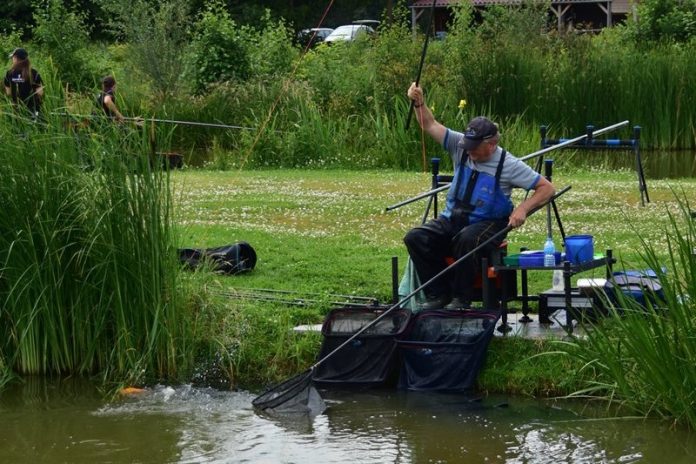 Vissen op snake lake berenkuil