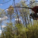 Zomerse Karpertips – 6