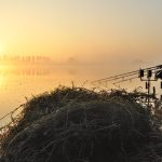 50 Karper Herfsttips