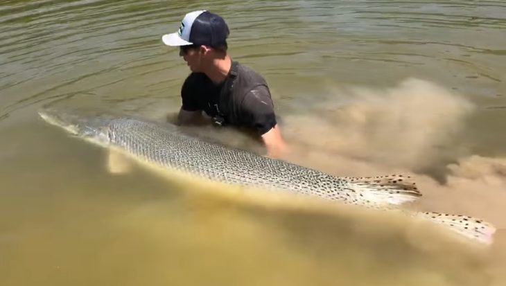 Monster ‘krokodilvis’ aan de hengel in rivier Texas