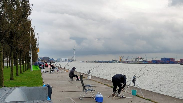 Rijnmond.nl reportage: de vissers van de Sluisjesdijk