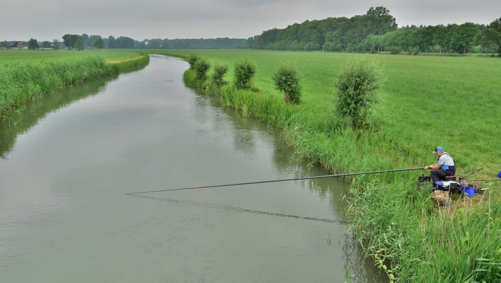 De Kromme Rijn: schilderachtig en visrijk riviertje