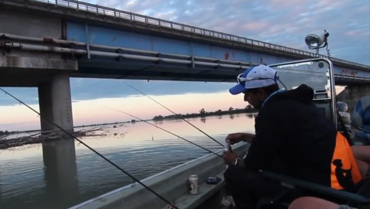 De uitdaging: grote vissen op de Po vanuit de woonboot