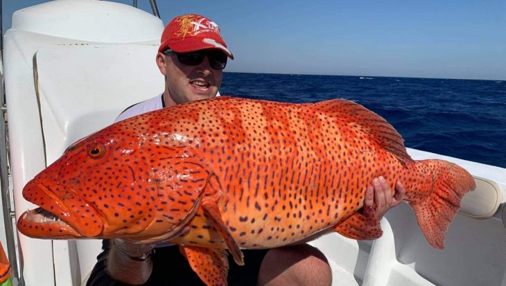 Unieke grote ‘Coral grouper’ potentieel IGFA wereldrecord