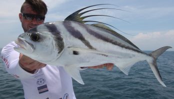 Game on: de gemaskerde struikrover genaamd 'roosterfish'
