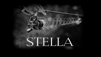 Shimano Stella - Nieuws