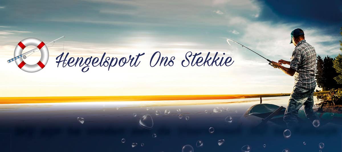 Logo Ons Stekkie