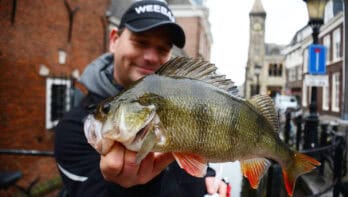 Artikel van toen: Streetfishing Utrecht – rovers van de Domstad