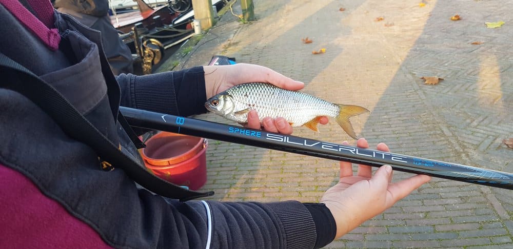 Met een whip hengel kun je bij uitstek vanuit de hand vissen.