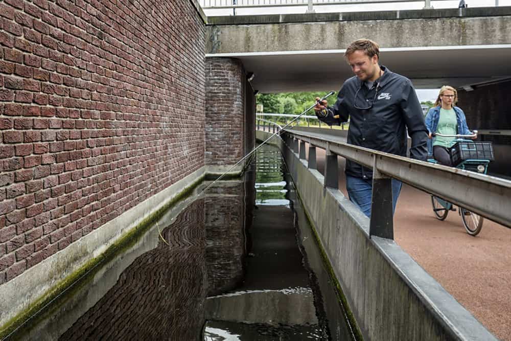Onlangs werd een motie voor een sportvisverbod in Haarlem door de gemeenteraad afgewezen.