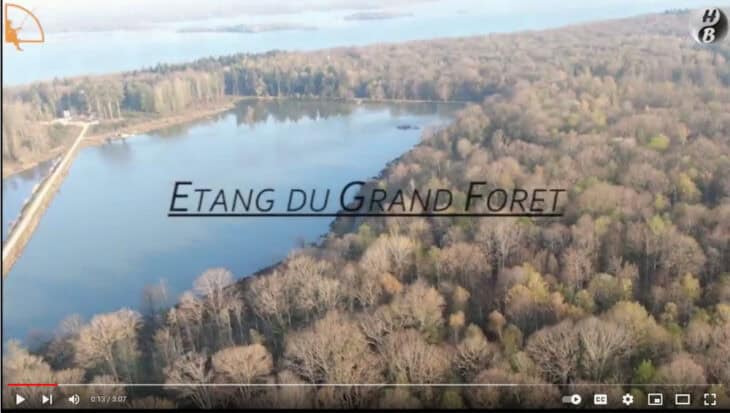 Angling Escapes: Video Etang du Grand Foret