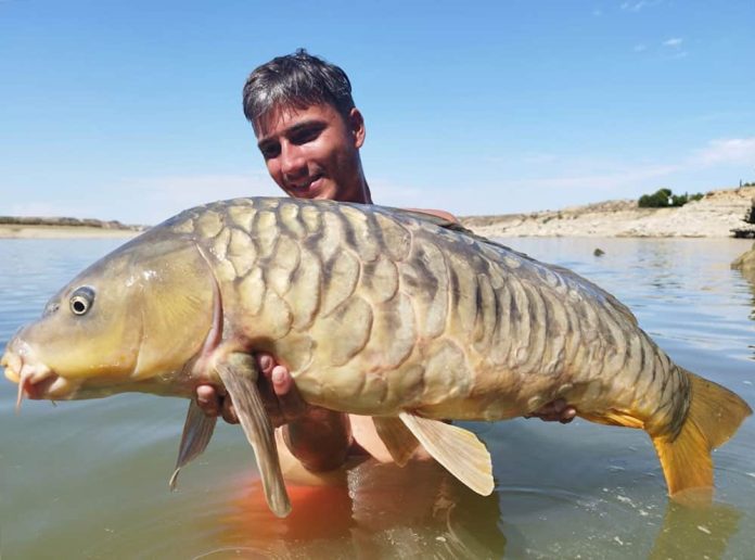 Ook in de warme maanden van het jaar zijn de meeste vissoorten goed te vangen op het zoete en zoute water in Spanje.