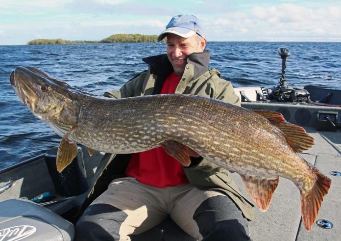 Snoekvissen op een van de mooiste meren van Ierland? Dat vind je volgens de Fish & Travel website op het prachtige meer Lough Derg.