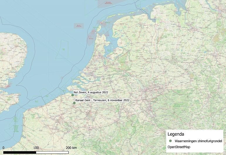 Figuur 1: waarnemingen van de shimofurigrondel in Nederland en Vlaanderen (Bron: RAVON)