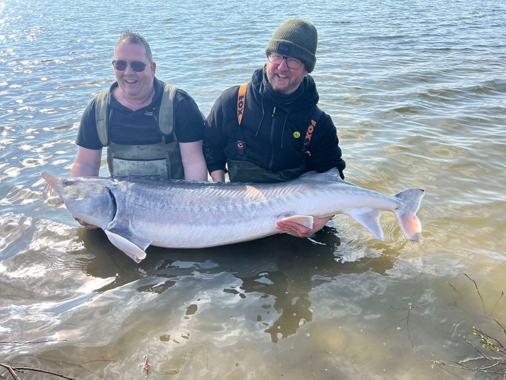 De grootste steur werd gevangen door Reiner Geerts met een Beluga van 2,15 meter.