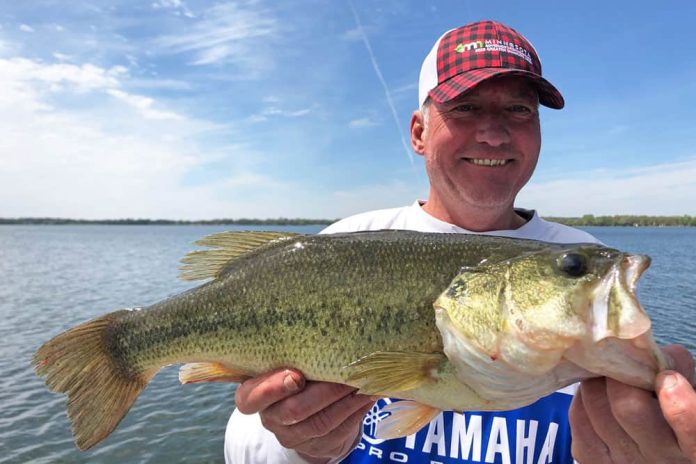 Spectaculaire sportvissen! De largemouth bass is een geweldige tegenstander.