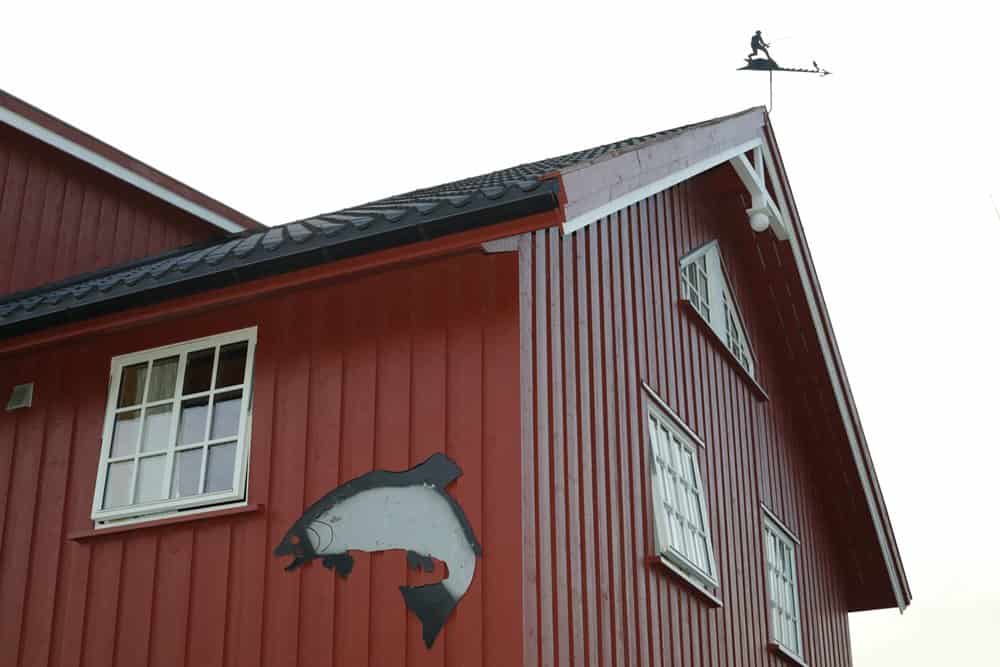 Noorwegen heeft de perfecte faciliteiten voor de sportvisser, in heel Noorwegen kun je prima accommodaties vinden direct aan het water en visboten zijn overal te huur.