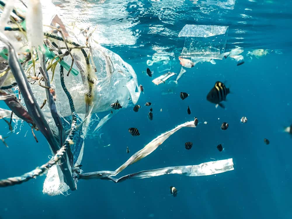 Daar staat het verminderen van plastic afval in water aan de kustlijn en andere maritieme gebieden centraal.