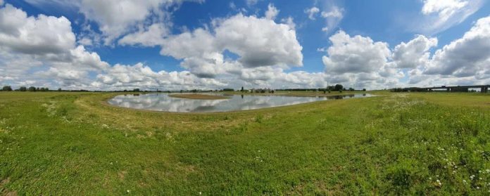 Het ondieper maken van uiterwaardplassen met grond en baggerspecie levert niet per se de natuurwinst op die ervan werd verwacht.