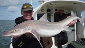 In Beet juli 2023: Droomvis – op haai in eigen land