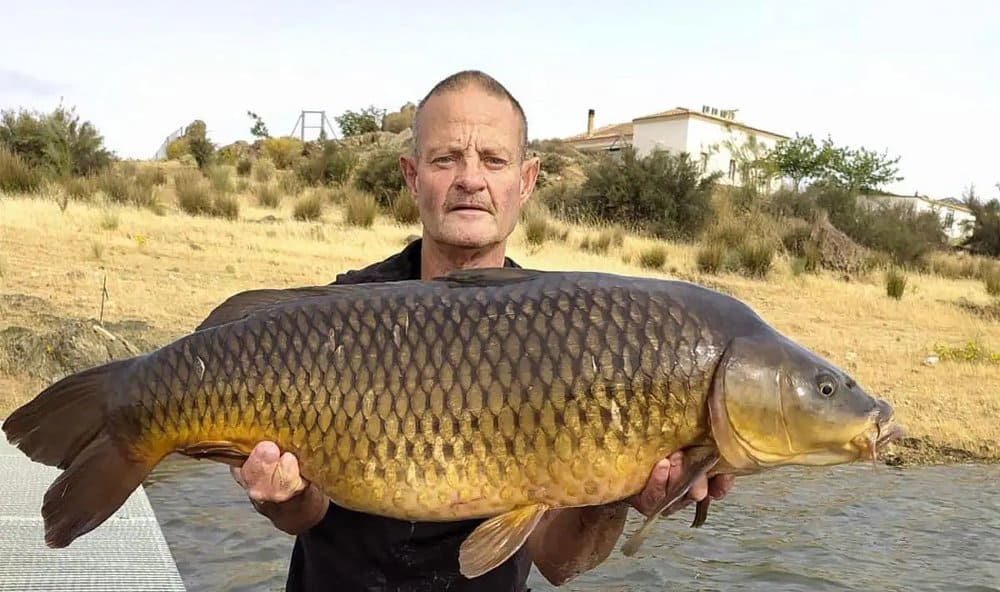 Het huis dat via Angling Escapes gehuurd kan worden staat ongeveer 20 meter vanaf de waterkant (afhankelijk van welke periode je gaat, gezien Orellana een stuwmeer is, in de zomer zal dit zo’n vijftien meter verder zijn) en biedt de mogelijkheid om vanuit het huis te vissen.