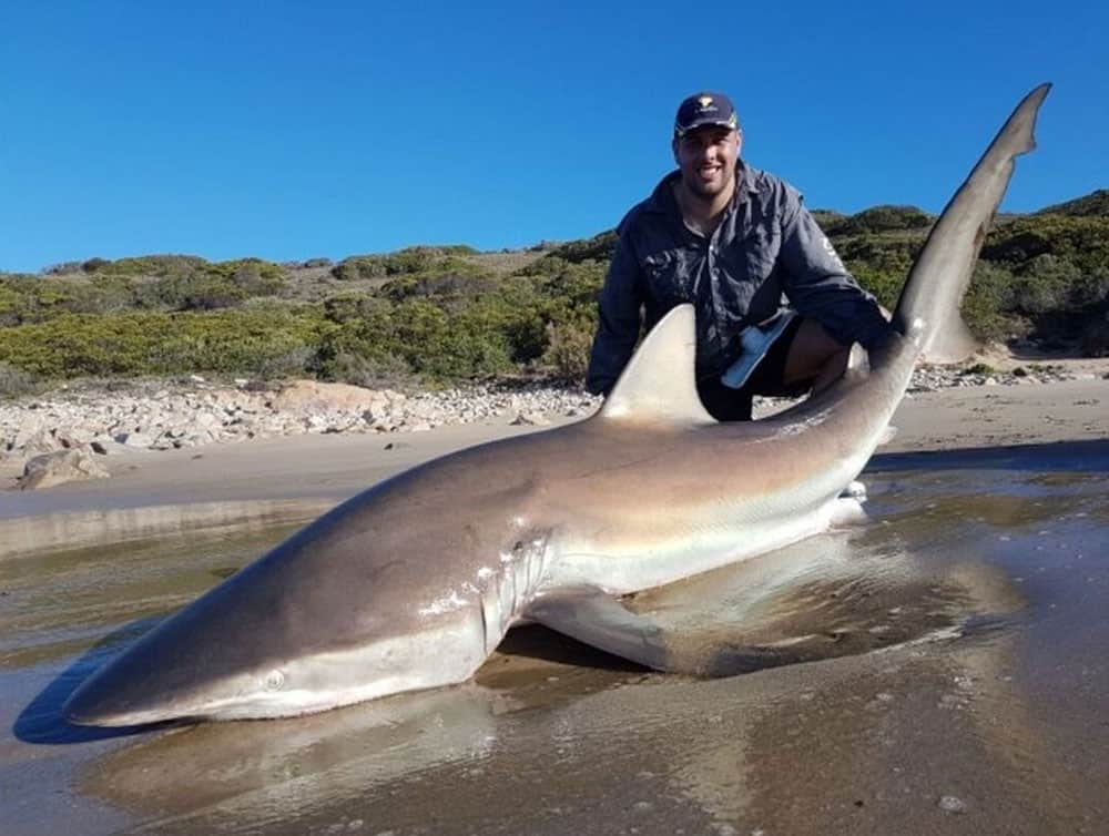 Het belangrijkste is de geweldige visserij in de gematigde baai van de Indische Oceaan waaraan de stad zijn naam ontleent.