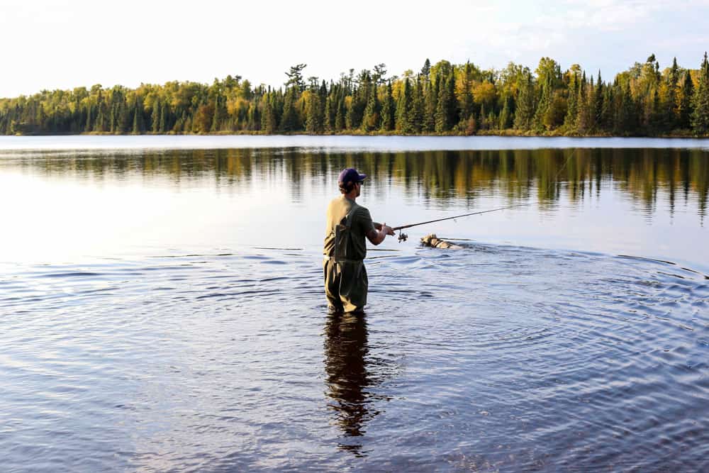 Werp je hengel uit vanaf de uitgestrekte wateren van Leech Lake, met maar liefst 160 km kustlijn.