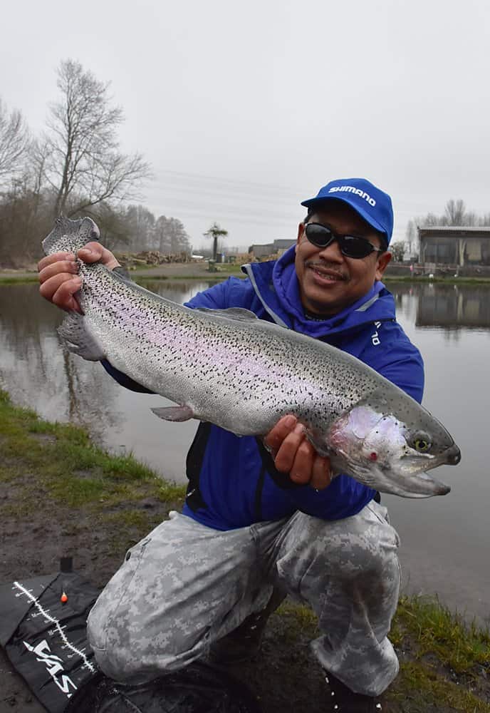 Deze techniek is destijds ontstaan op de vijvers in Nederland en België door de leden van het Shimano Trout team en is inmiddels gemeengoed onder de forelvissers in West-Europa.