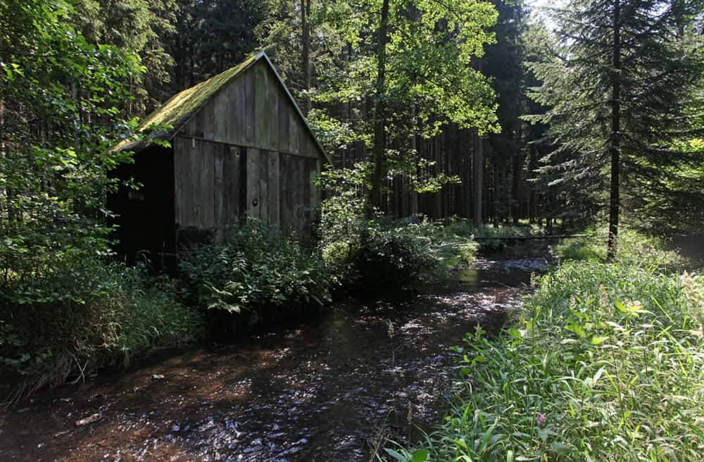 In principe kan er jaarlijks vanaf 16 maart tot aan 20 oktober gevist worden, de gesloten tijden voor de regenboogforel en beekforel lopen namelijk van 20 oktober tot en met 15 maart.