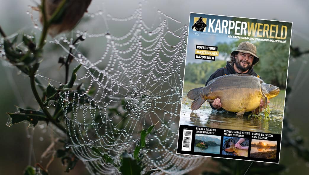IN KARPERWERELD 152… - Beet Magazine