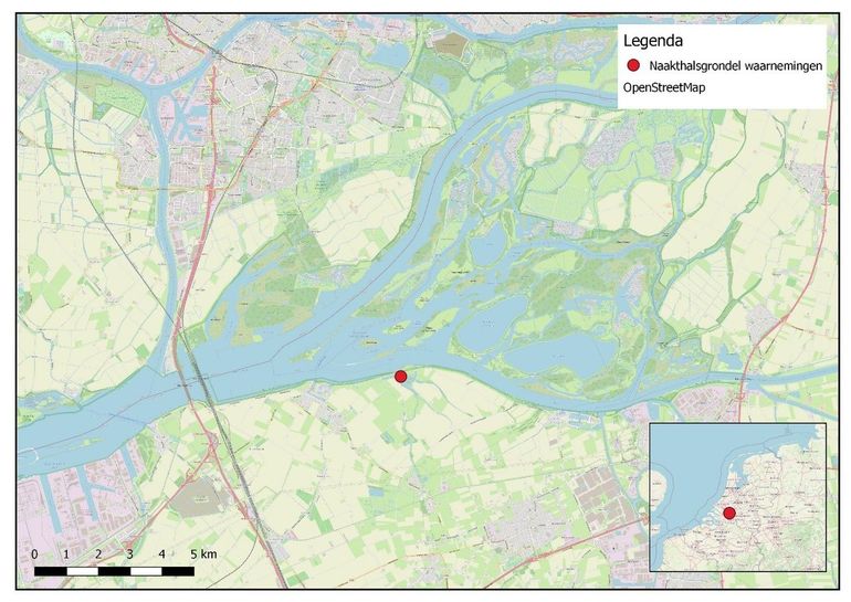 Vindplaats van de eerste zes naakthalsgrondels in Nederland op 1 en 16 augustus 2023, Gat van den Ham, Noord-Brabant (Bron: RAVON)