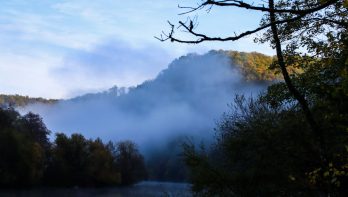 In Karperwereld 152: Herfst aan de rivier – bizarre Maas-sessie!