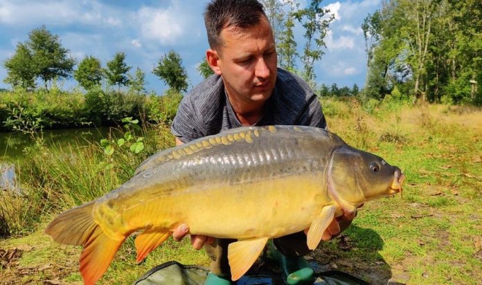 Little Carpvalley, uit het programma van Angling Escapes, ligt in het bosrijke gebied De Kempen in het prachtige zuiden van Brabant, vlakbij de Belgische grens.