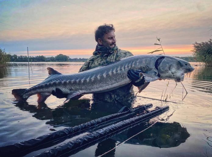 Van donderdag 26 oktober tot zondag 29 oktober wordt bij Fishing Adventure in Enschede de laatste Big Fish Koppelwedstrijd van dit jaar gehouden.