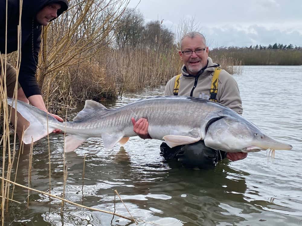 Daarnaast is er nog een prijs voor de grootste steur en de grootste meerval.