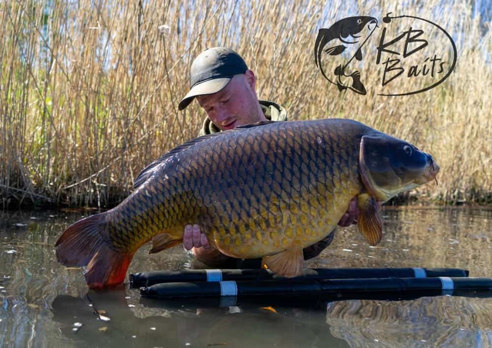 Op de website van KB Baits kun je nog de gehele maand november profiteren van een korting van twintig procent!!