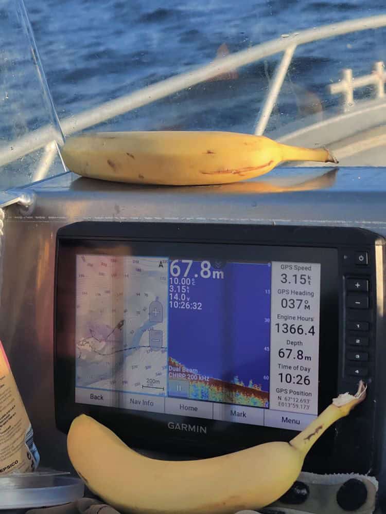 Bananen aan boord brengen normaal geen geluk...