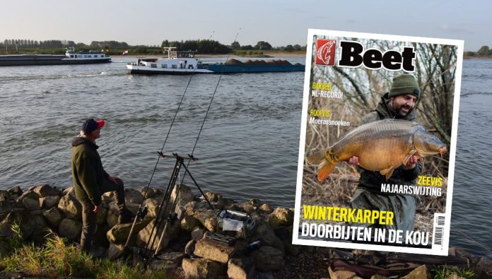 In dit nummer een portret van Peter de Boef, de man achter de ‘parapluutjes’ en ‘bolletjes’, een visser die heel goed nadenkt over zijn visserij en hoe die te verbeteren…