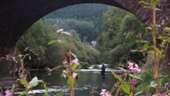 Waar kan je vissen in de Eifel